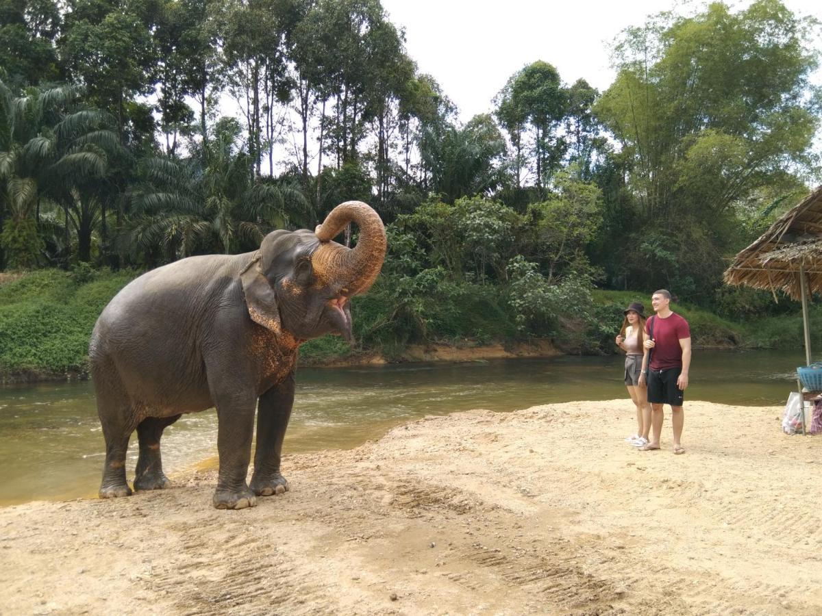 Khao Sok River & Jungle Resort Khao Sok National Park Bagian luar foto