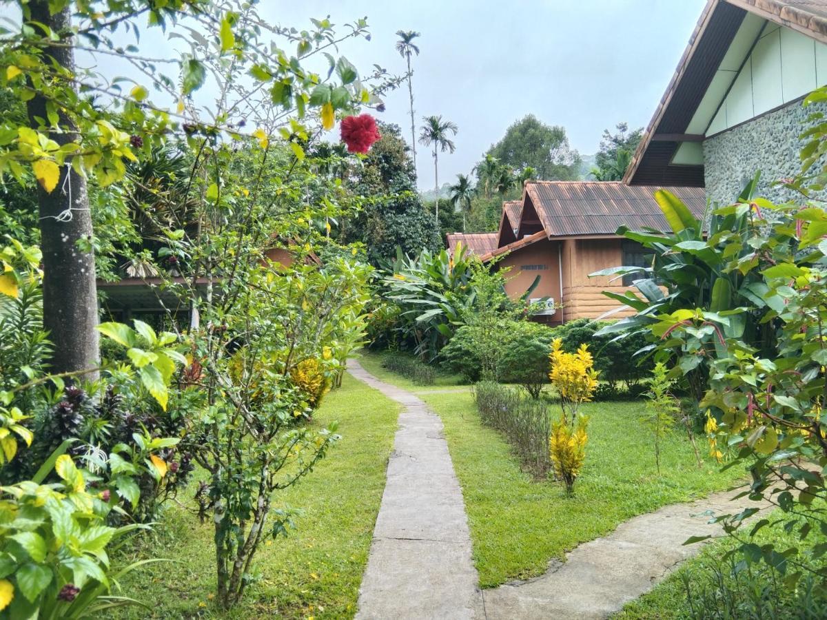 Khao Sok River & Jungle Resort Khao Sok National Park Bagian luar foto