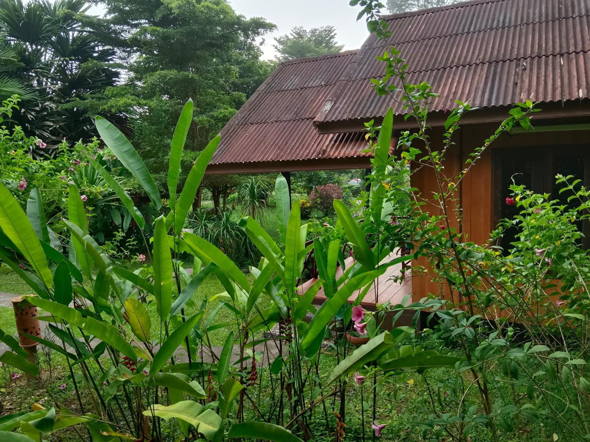 Khao Sok River & Jungle Resort Khao Sok National Park Ruang foto